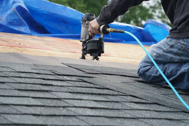 Best Roof Leak Repair  in Oakwood, IL